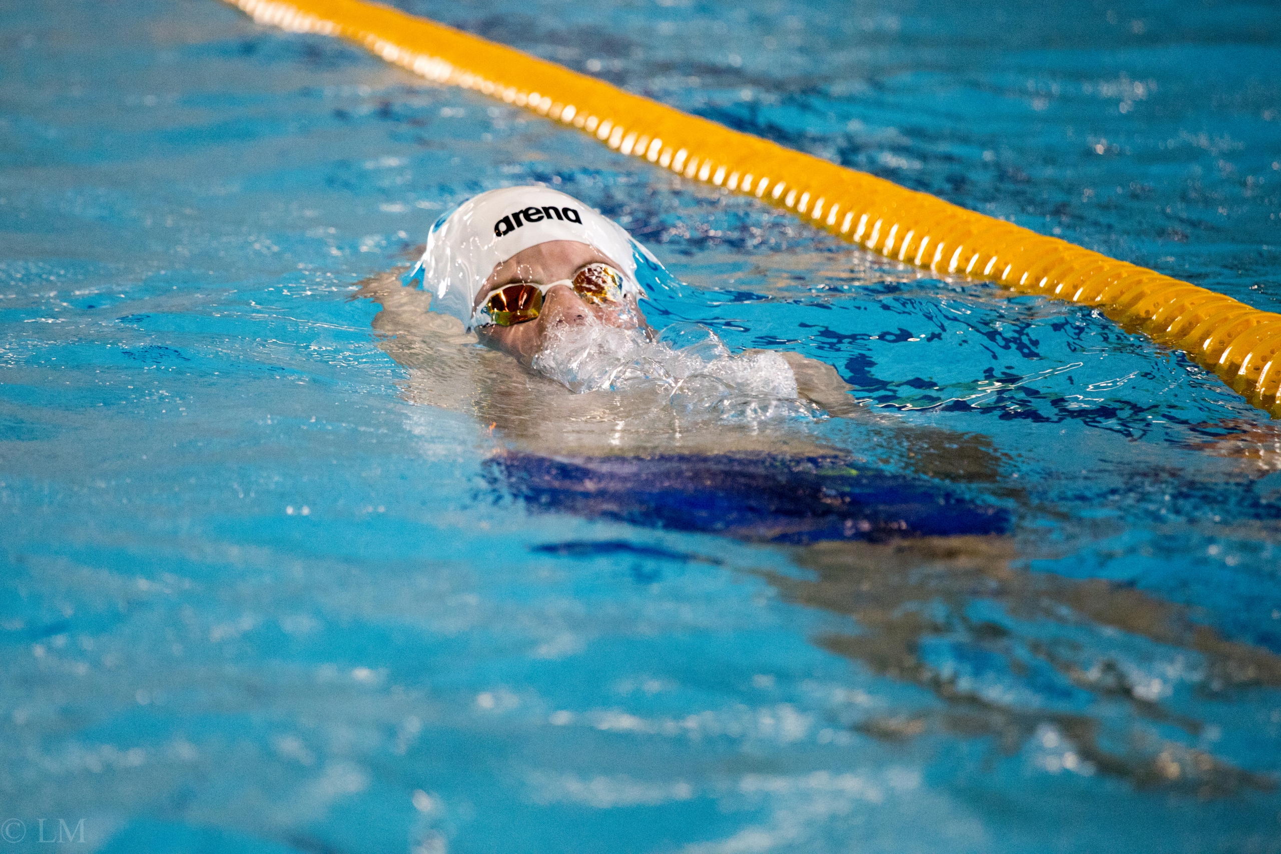 Bezirksschwimmverband Südwestsachsen